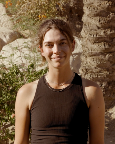Alison Crenshaw header mobile crop