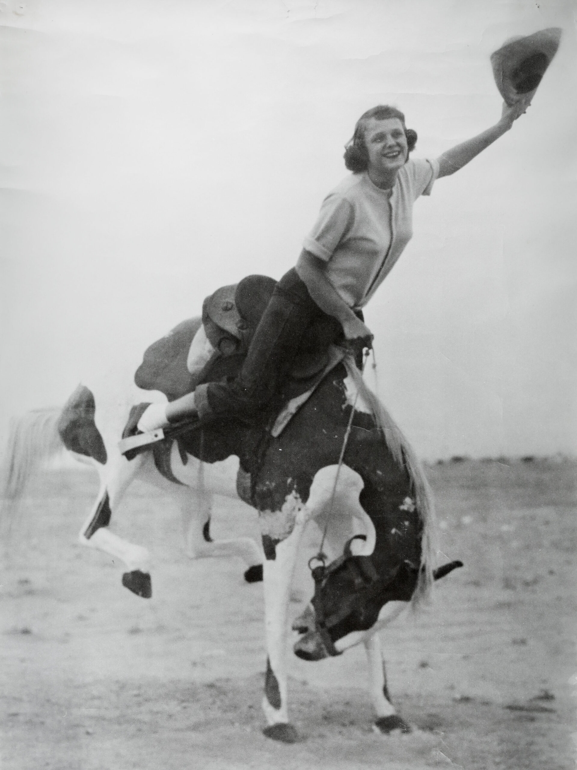 Barbara Henkels Horse Photo