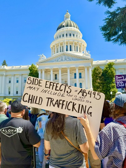 Rally against AB 495 California