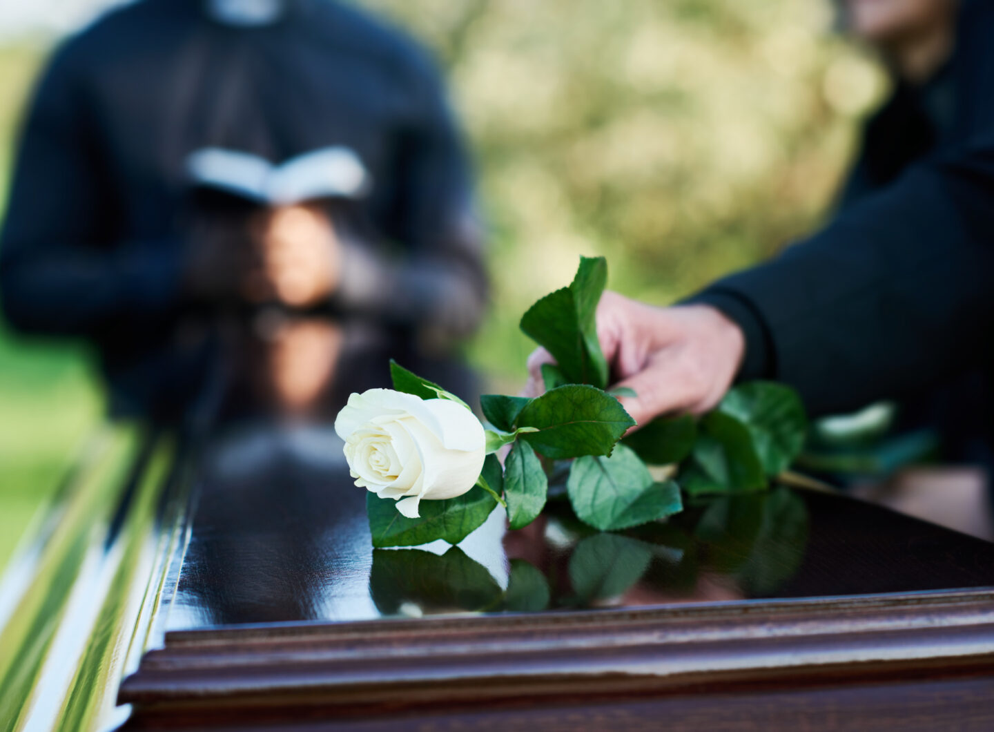 Fresh white rose being put by woman in mourning attire on closed coffin lid