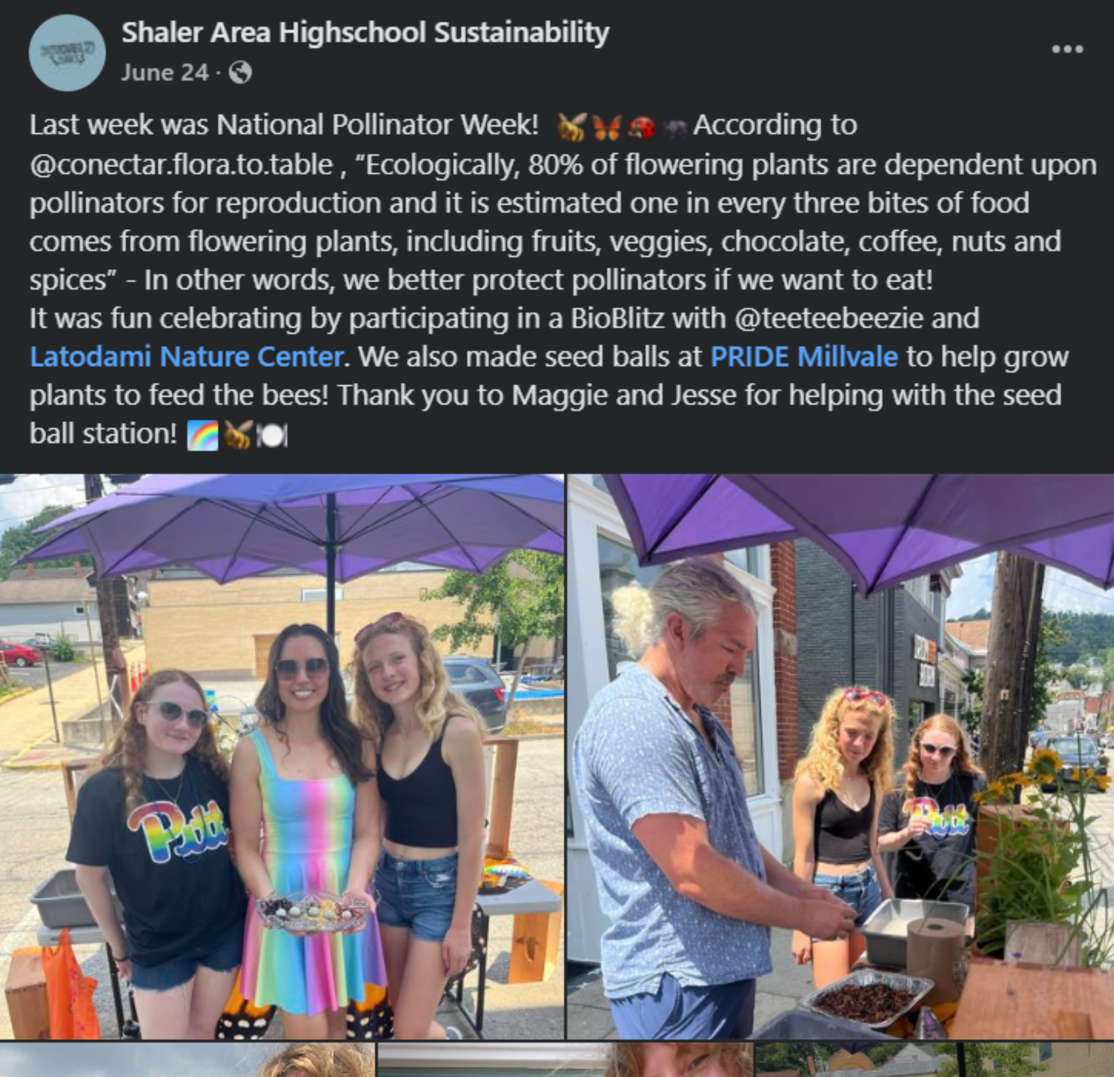 Facebook post of Nilson and students at a Pride event