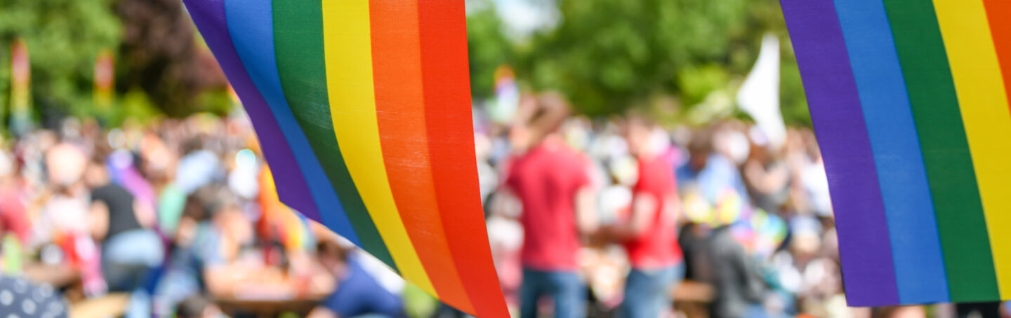 LGBT Pride Flags with people in the background