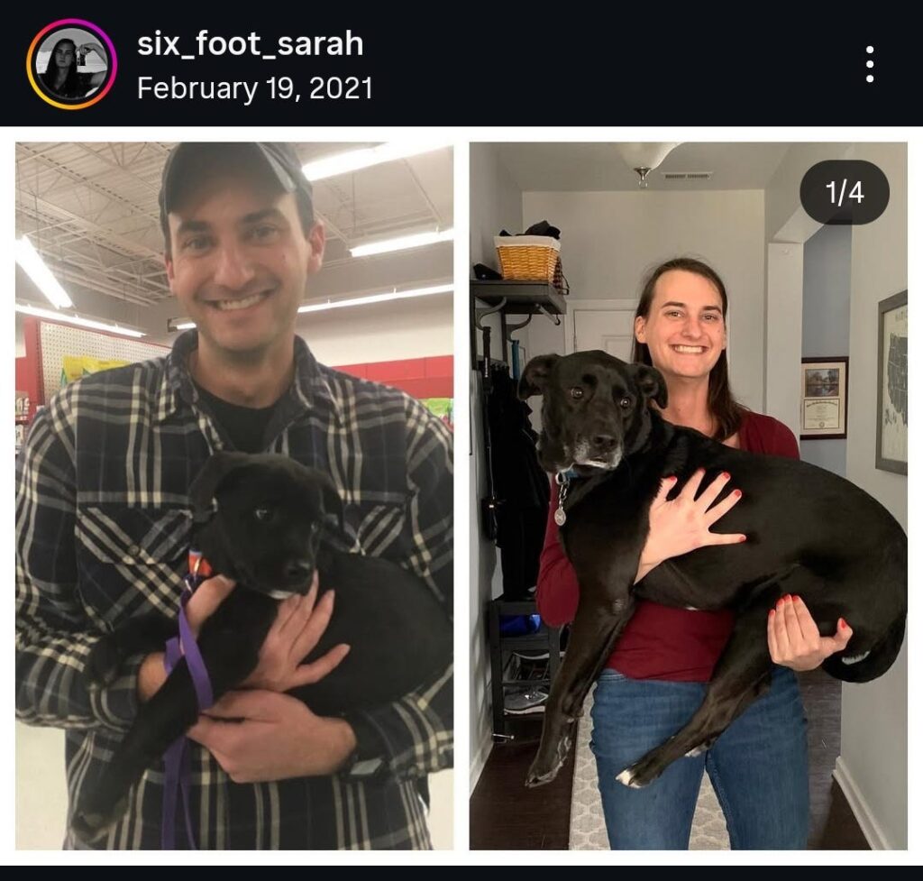 six foot sarah Instagram Exulansic screenshot