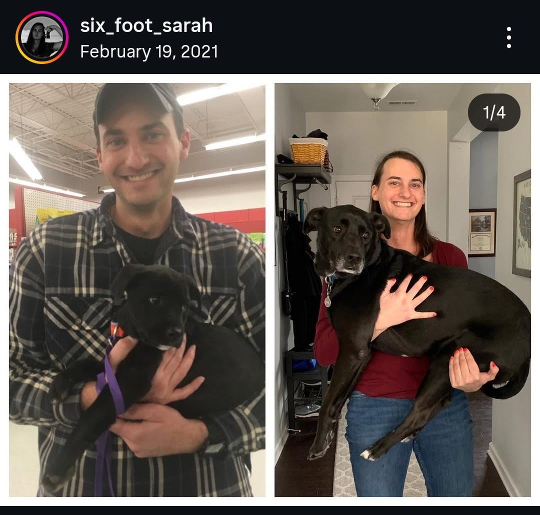 six_foot_sarah Instagram Exulansic screenshot