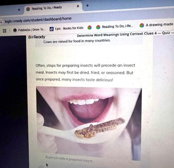 San Marcos Unified School District lesson on eating insects