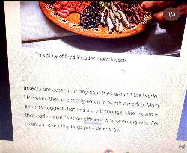 San Marcos Unified School District lesson on eating insects