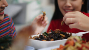 Children eating bugs