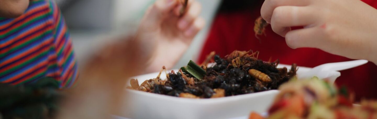 iStock 1810456189 header image