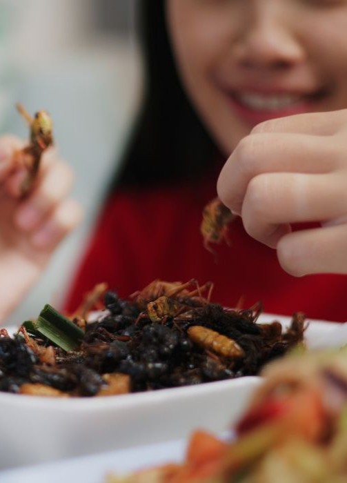 iStock 1810456189 mobile crop