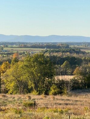 Upstate New York grassland