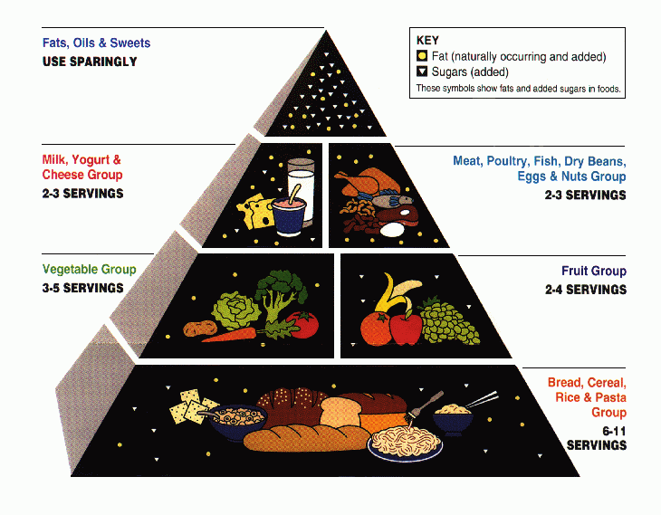 1992 Food Pyramid