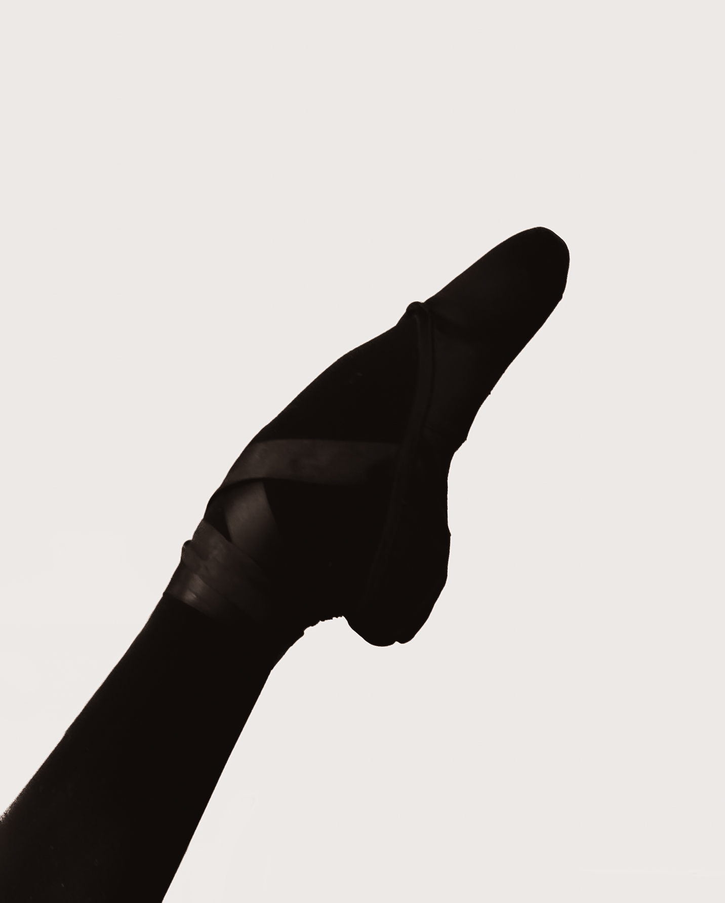 Ballet pointe shoe