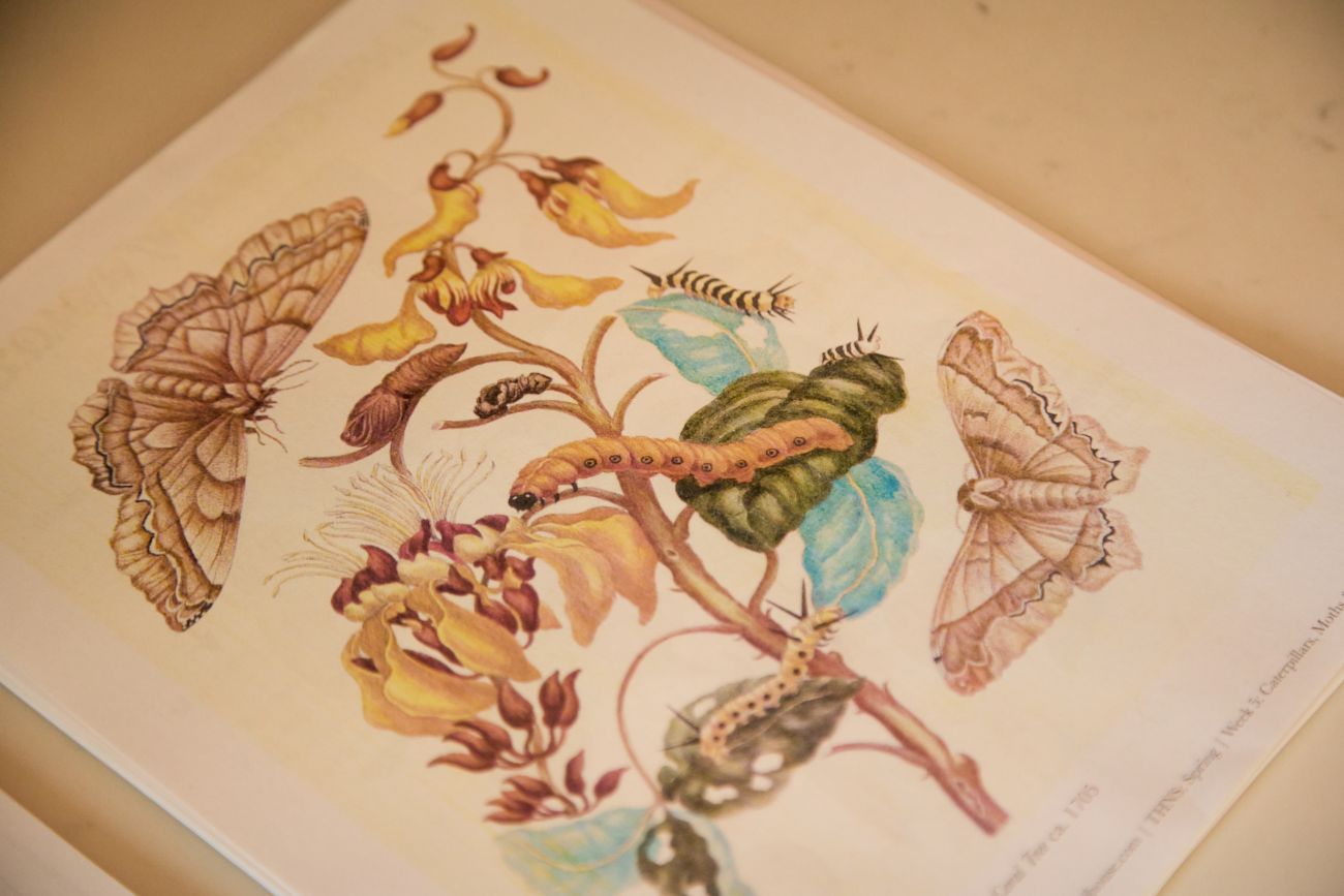 Cheryl Daley's homeschool materials