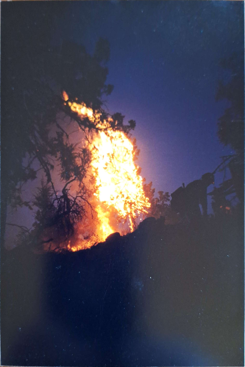 Lever fire silhouette