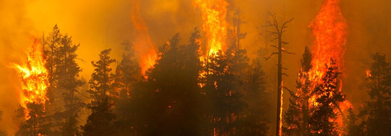 Canadian Wildfires