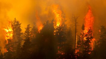 Canadian Wildfires
