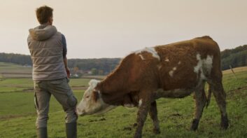 Cow in field with rancher