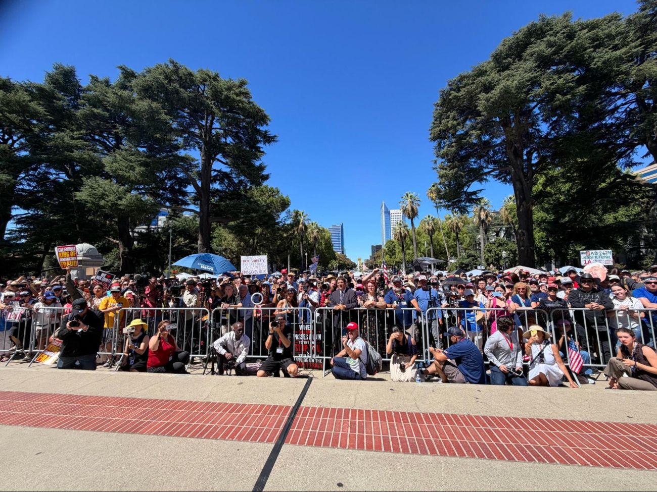 Crowd at the California Capitol